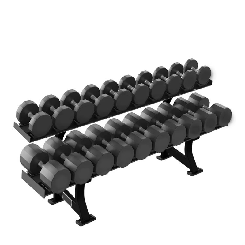 2단 10쌍 덤벨 보관 랙, 근력 운동 피트니스 장비, - Heavy Equipment Usa 리뷰 및 가격